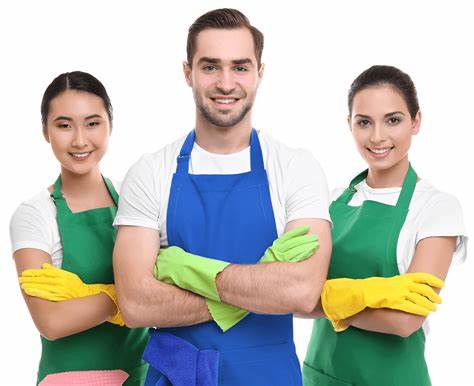 home cleaners